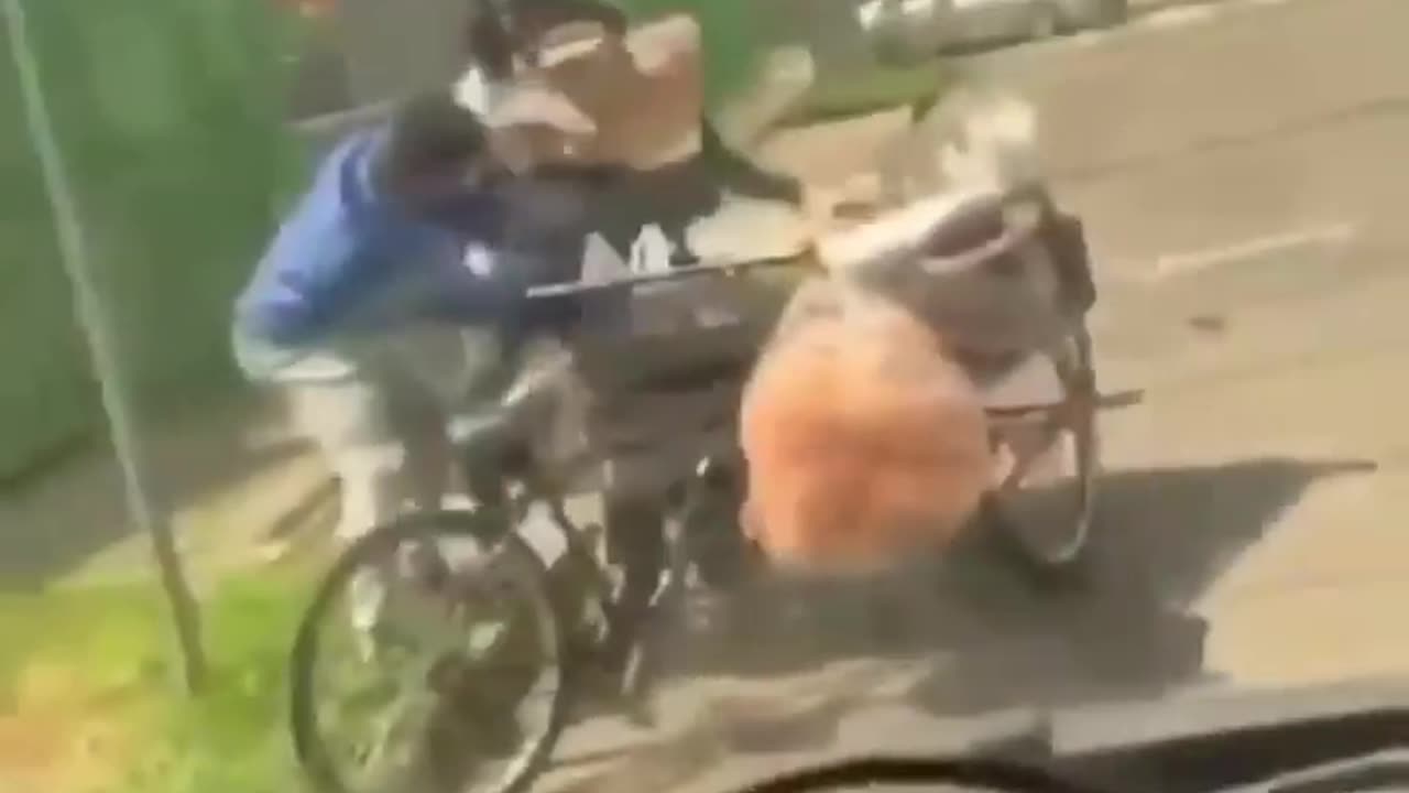 Racist Affluent African American Men Brutalize and Rob Indigenous Mexican Street Vendor in L.A.