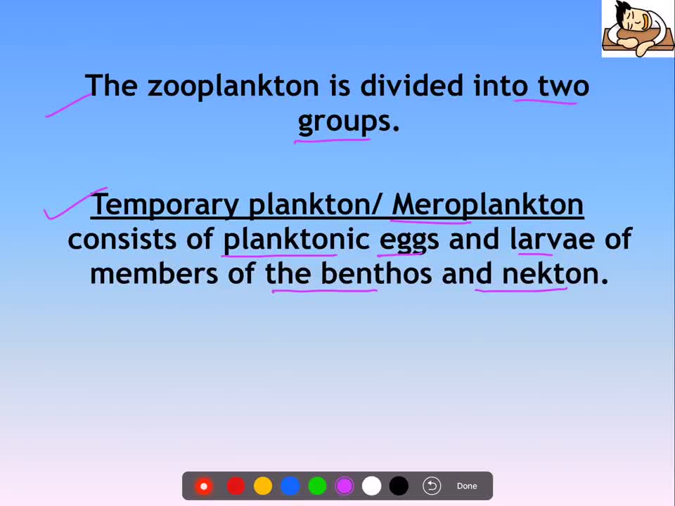 Environment and Ecology Lecture 9.1 - Marine Organisms