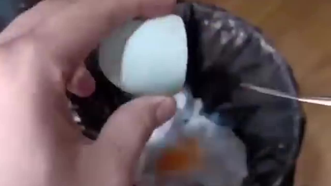 how a chick born from egg