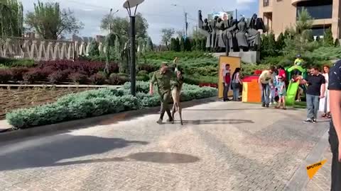 Ukázky ruských psovodů na dětský den v Arménii