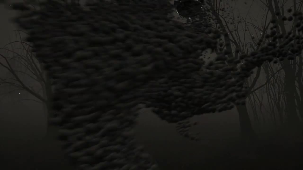 LOOP Immersive Sound Lounge