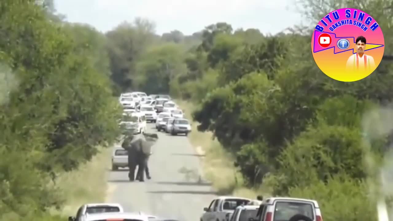 Elephants attacking tourists, HeartStopping,Must Watch