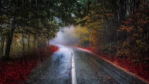 Nature Rain Falling On A Road In Autumn