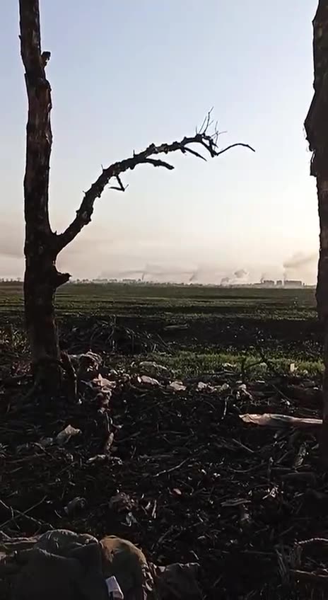 Walking Abandoned Positions Just South of Bakhmut