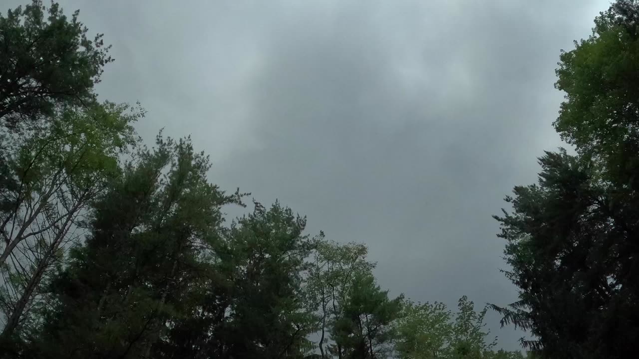 The Calm Before the Storm