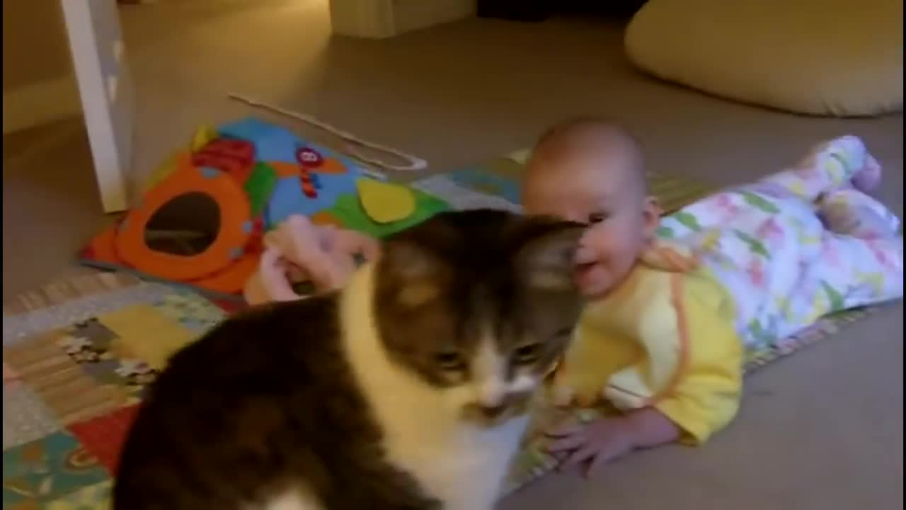 Funny baby & funny cat !