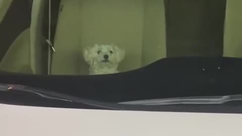 when I go to the drive thru and they make me park and wait for my food