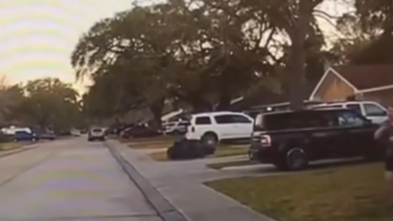 Neighborhood peeping tom gets tackled by Mama Bear.