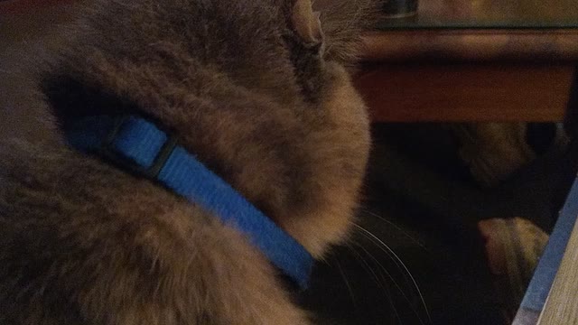 We love Bible Study Time