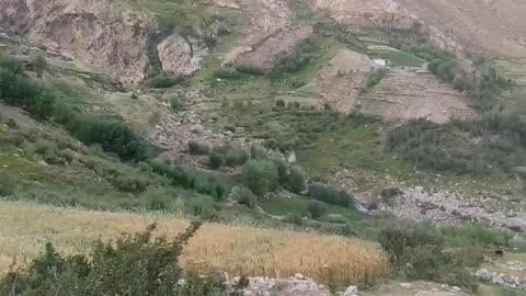 #nature #chitral #pakistan