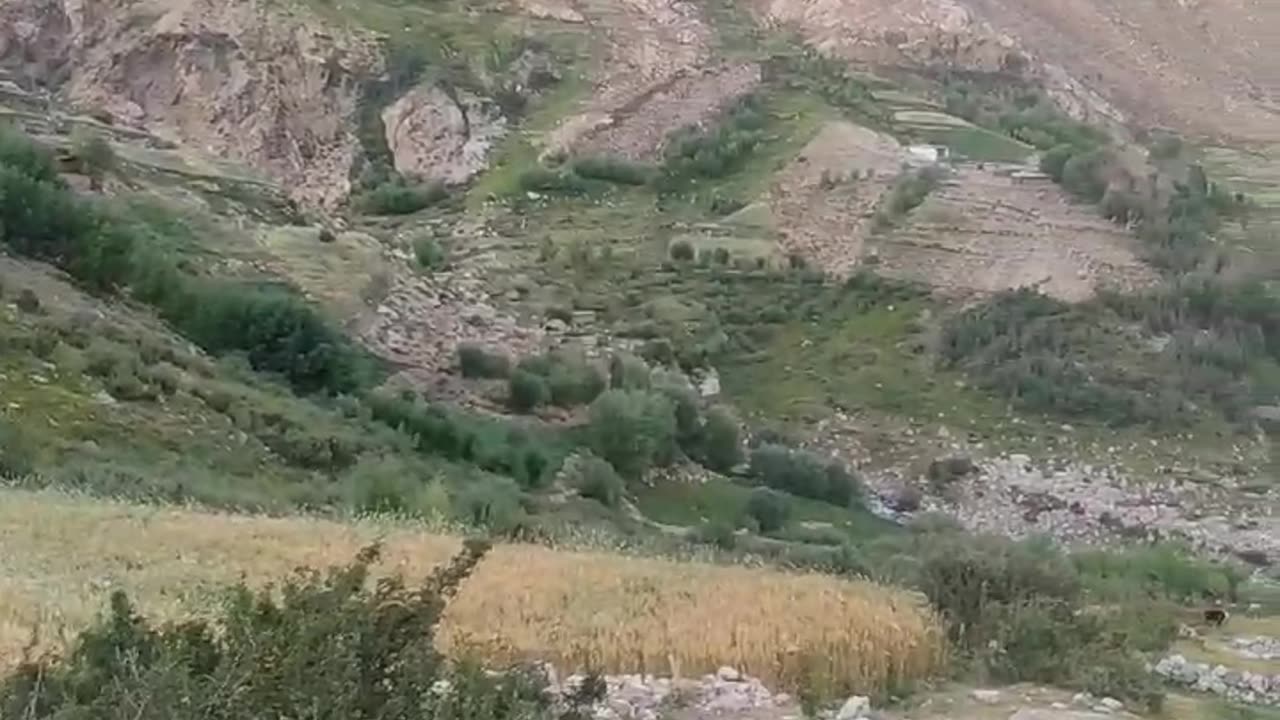 #nature #chitral #pakistan
