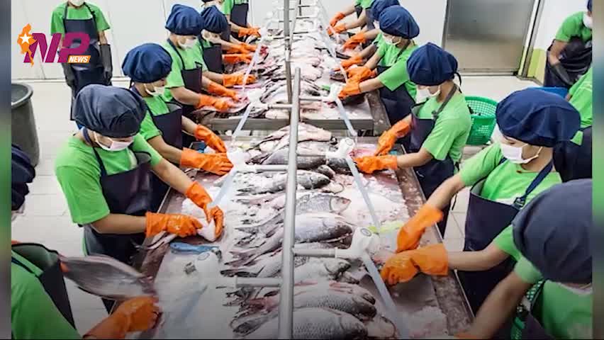 Myanmar expects to trade massive tons of fishery products to Russia