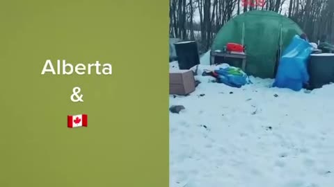 Assault On Farmers and Their Farms