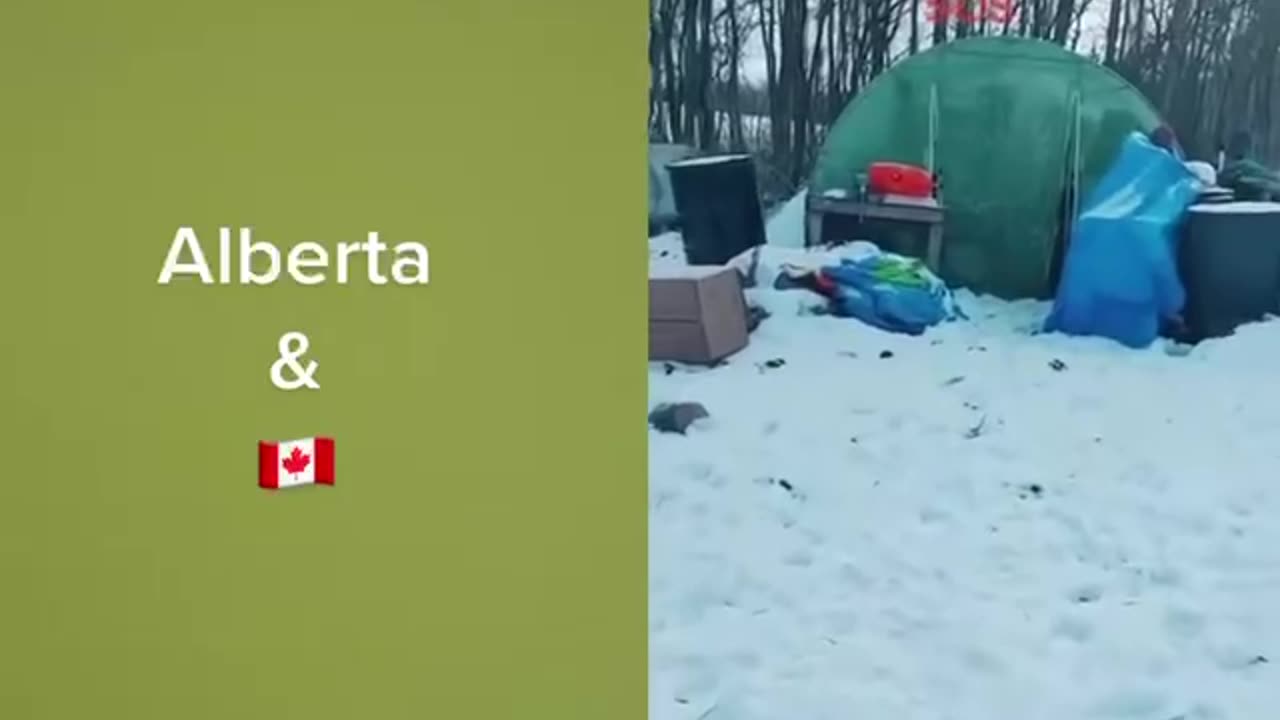 Assault On Farmers and Their Farms