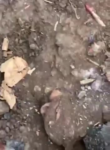 He's Gotta Be in Here Somewhere