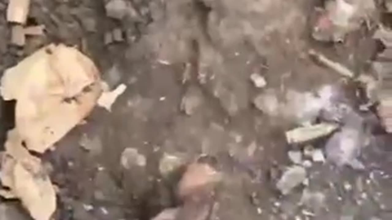 He's Gotta Be in Here Somewhere
