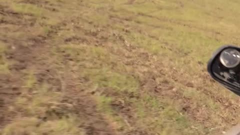 Drifting On Grass Doesn't Go As Planned
