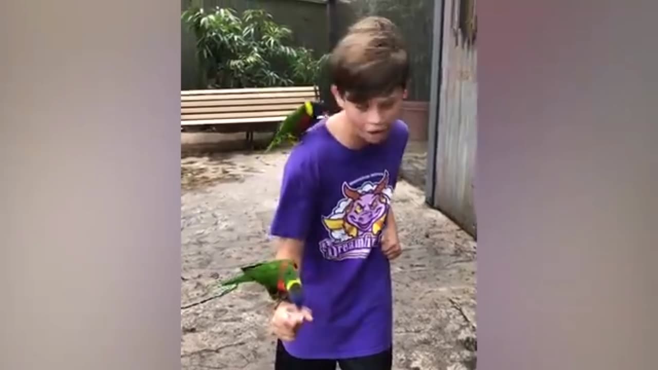 Best funny Animals and zoo