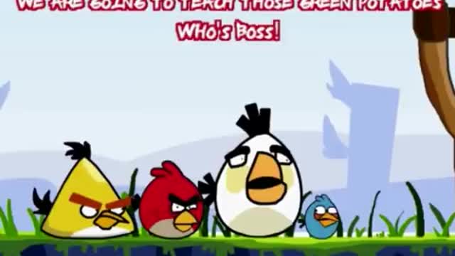 AngryBirds Animated Parody 2! (ORIGINAL)-000