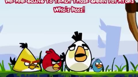 AngryBirds Animated Parody 2! (ORIGINAL)-000