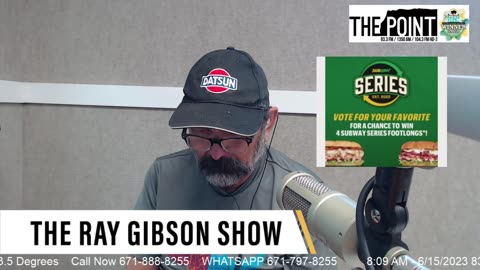 The Ray Gibson Show