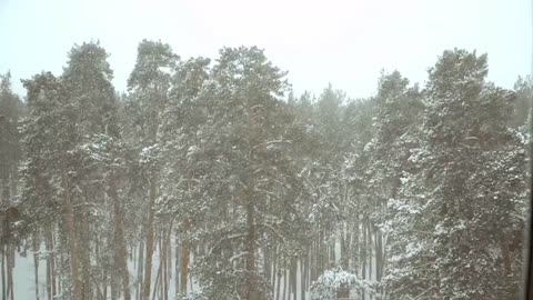 Reddit Stories - "Scary TRUE Stories Told In the Snow"