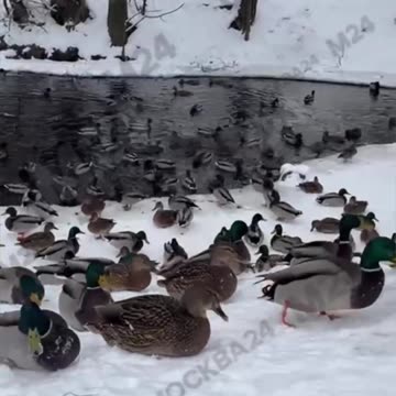 Kids are the same everywhere 😊