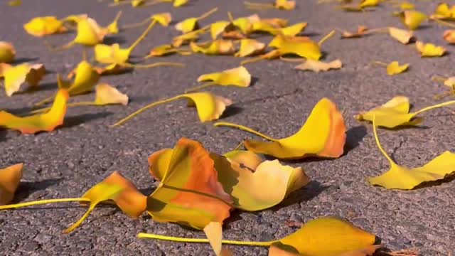 Looking forward to cool summer and autumn and warm spring in winter.
