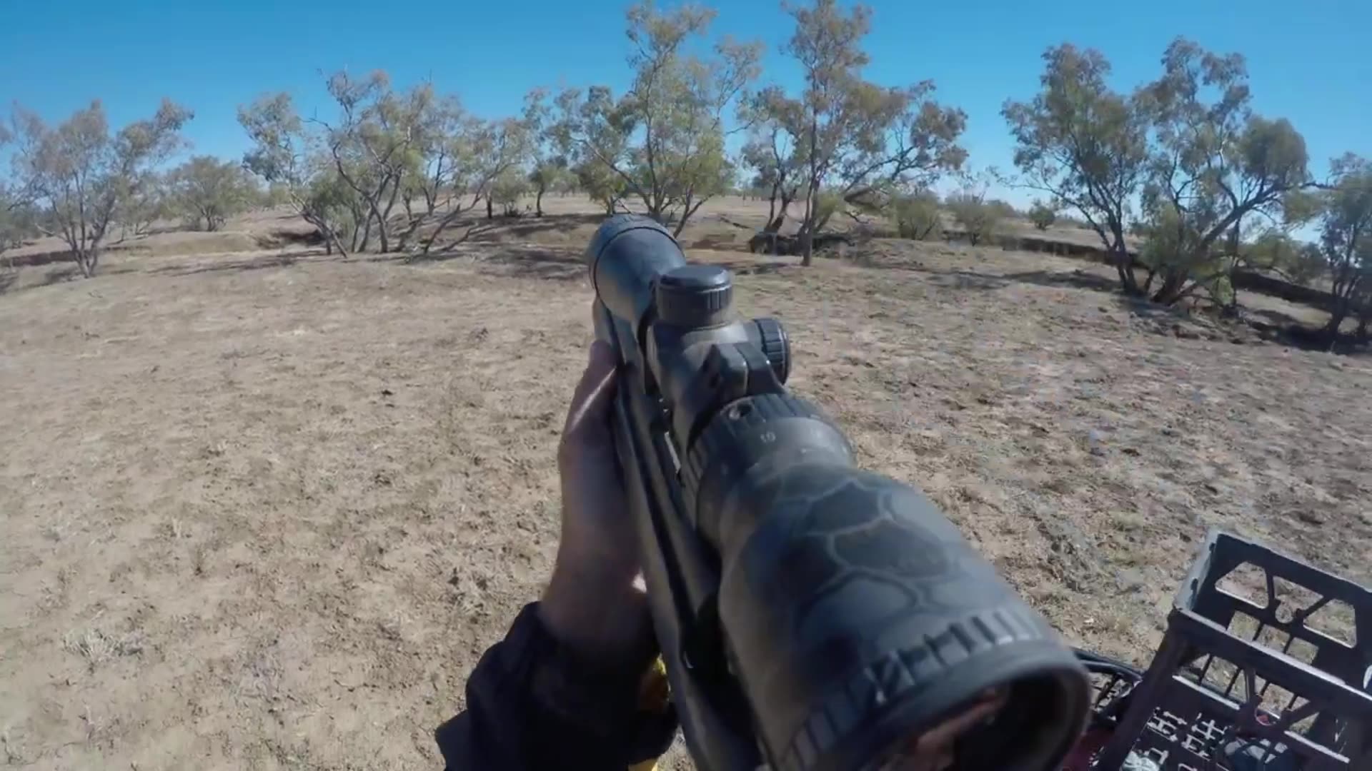 Outback Rumble Game Outback Qld Pig Hunting