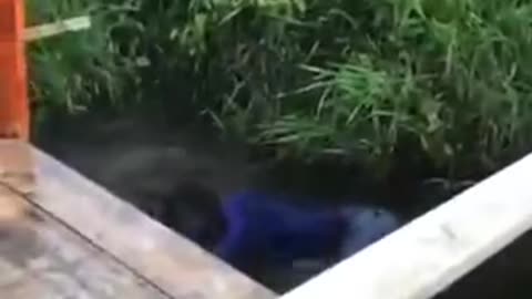 Funny man fall when drunk