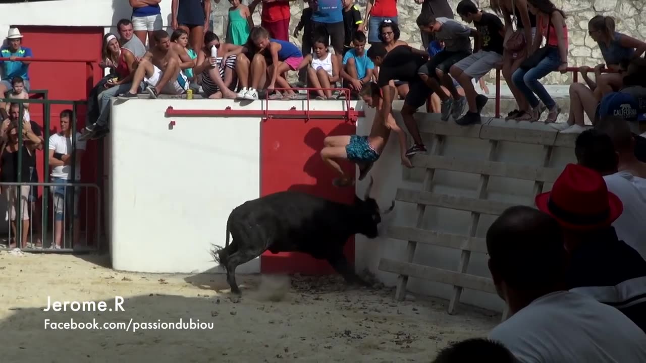 Angry Bull