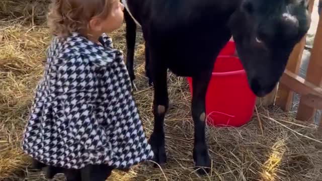 N/A #viral #tending #shorts #viralshorts #tendingshorts #kids #indiashorts #ytshorts #rembelshorts