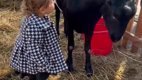 N/A #viral #tending #shorts #viralshorts #tendingshorts #kids #indiashorts #ytshorts #rembelshorts