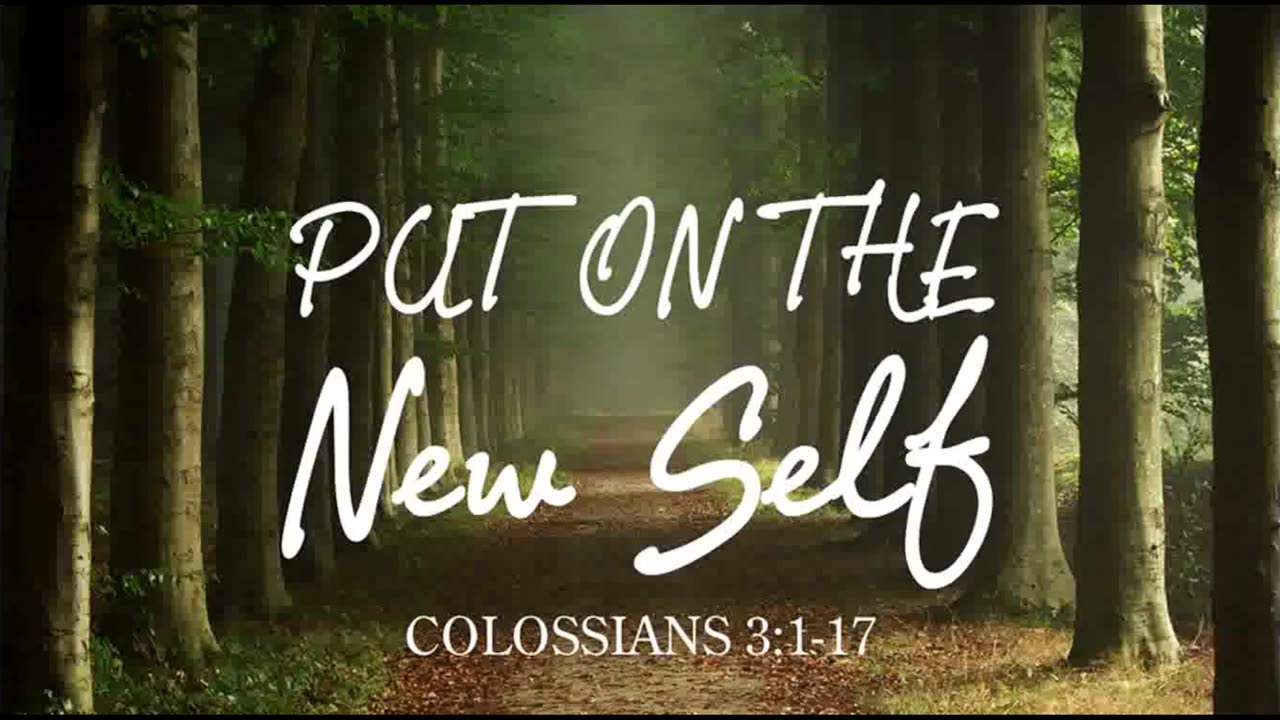 The Lion's Table: Put on the New Self