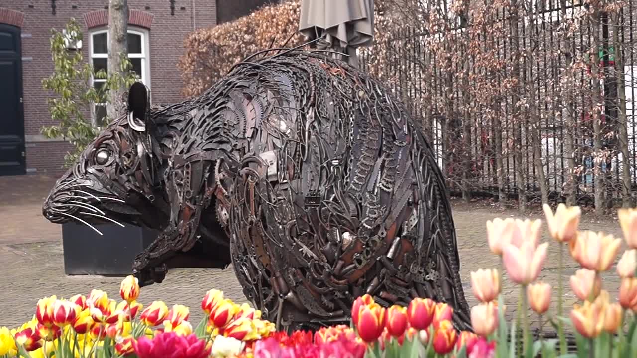 Tulip Festival Amsterdam 2021