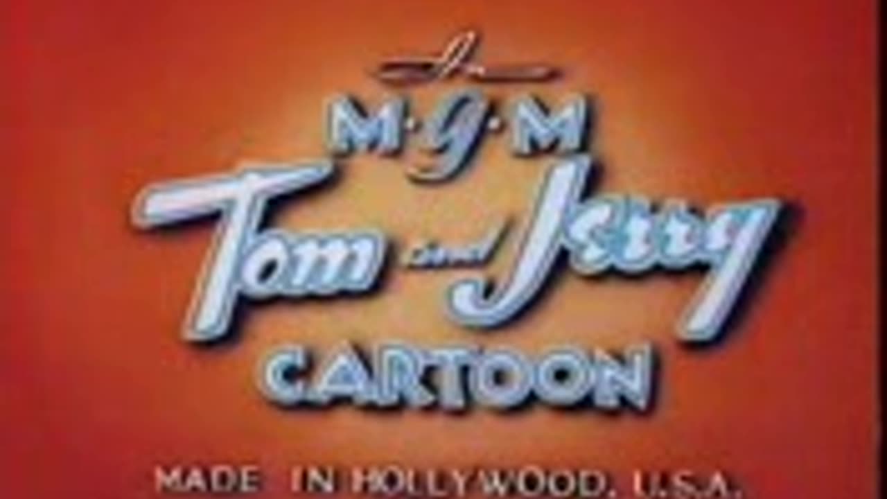 Tom & Jerry Cartoon