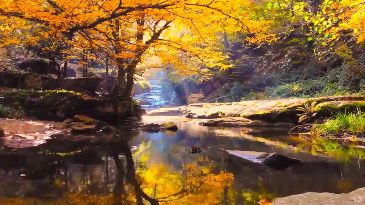 Enchanting Autumn Forests with Beautiful Piano Music