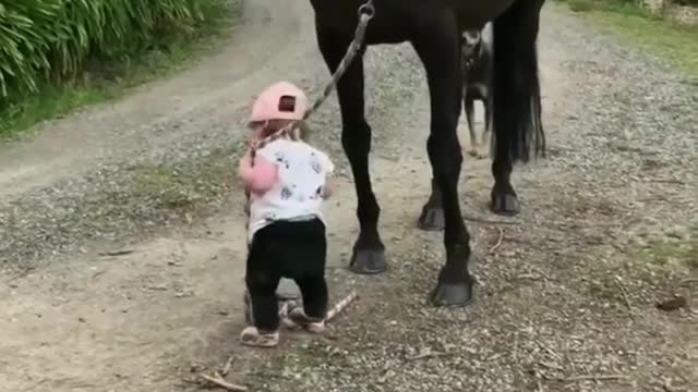 Cute baby and horse