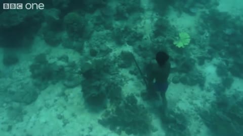 Superhuman Filipino diver from the Badjao tribe ;BBC