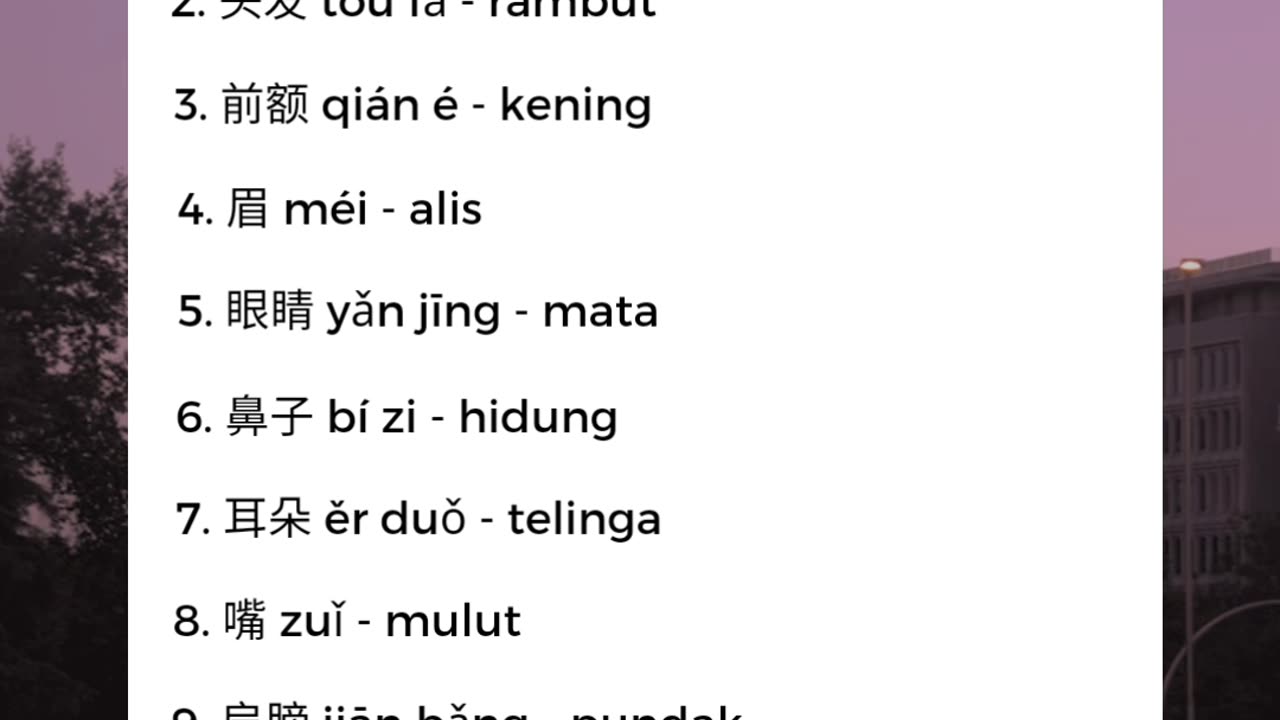 bahasa mandarin- kosakata anggota tubuh