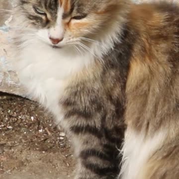 Relax and Renew: How Relaxing This is for the Soul? Volume 135