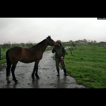 Ukrainian Soldiers Rescue Abandoned Horses From Russian Artillery In Avdiyivka