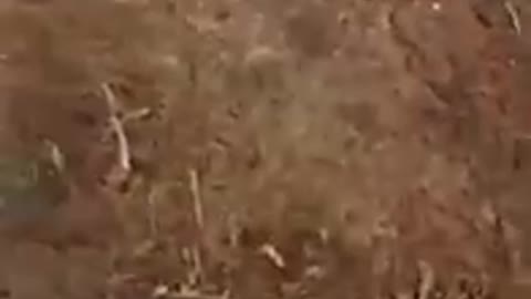 Russians showing footage from their trenches, telling that they knocked out their own tank 😂