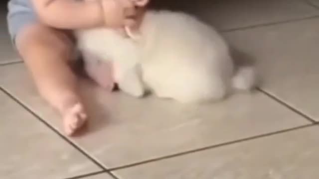 Cute baby Smile