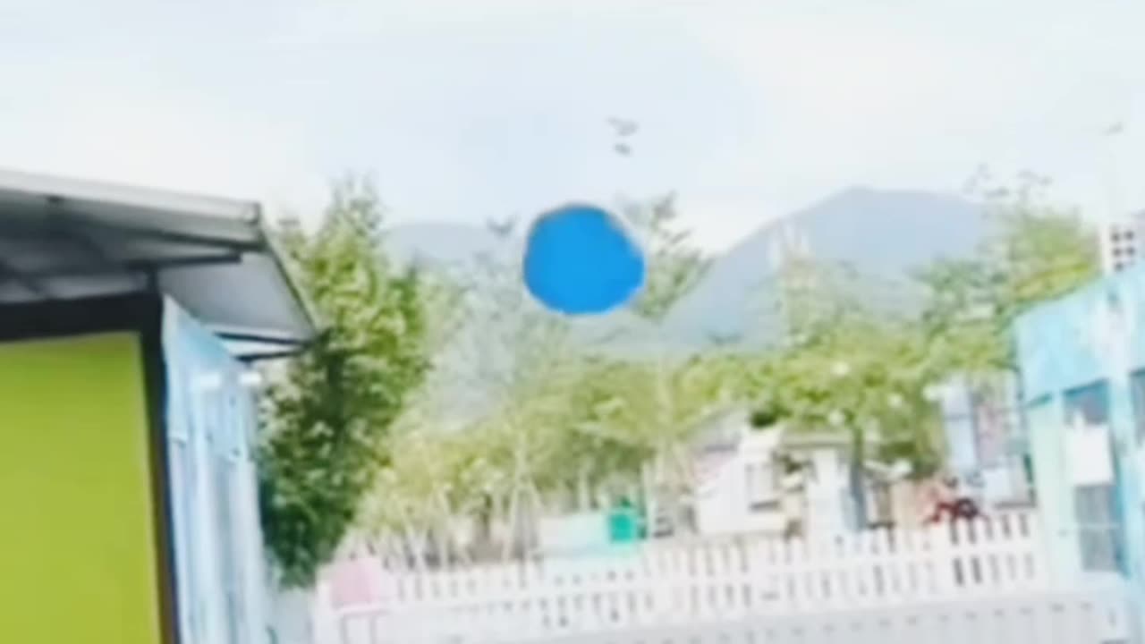 dog enjoy balloon fun video