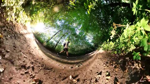 Positive Vibes: 360° Forest Walk