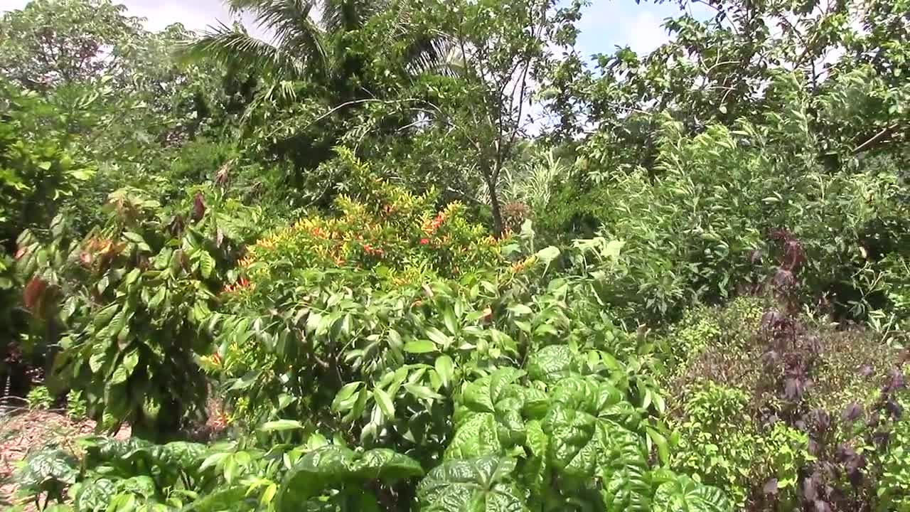 KAUAI FARMACY TOUR - June 11th 2015