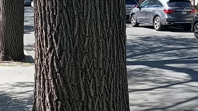 Brothers see what I mean