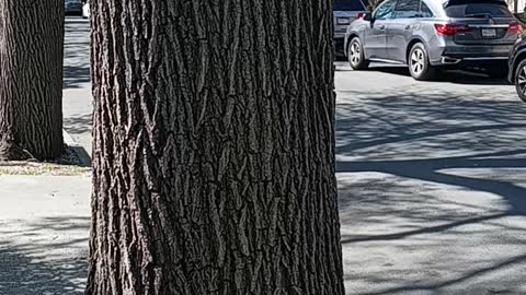 Brothers see what I mean