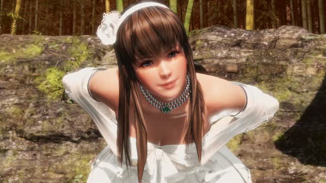 Dead or Alive6 Battle25